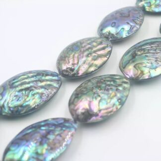 Abalone