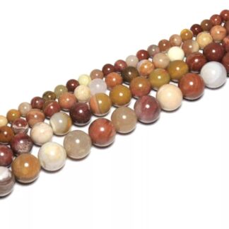 Bois pétrifié (opalisé)