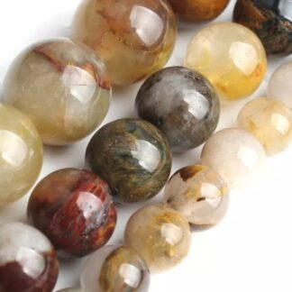 Bois pétrifié (Peanut wood)