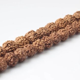 Séparateur en graines de Rudraksha