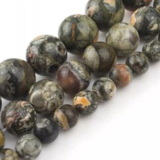 Métarhyolite - Jaspe Orbiculaire - Jaspe des forêts tropicales