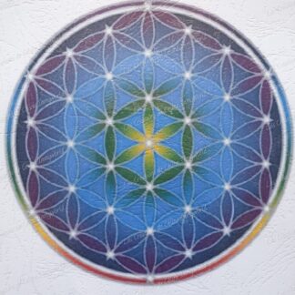 Fleur de Vie 1 pour purification des pierres