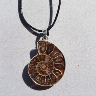 Pendentif pierre brute en ammonite