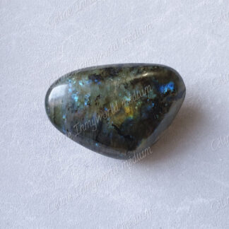 Pierre roulée en Labradorite modèle n°41