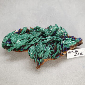 Druse d'Azurite-malachite et Baryte brune brutes modèle n°16