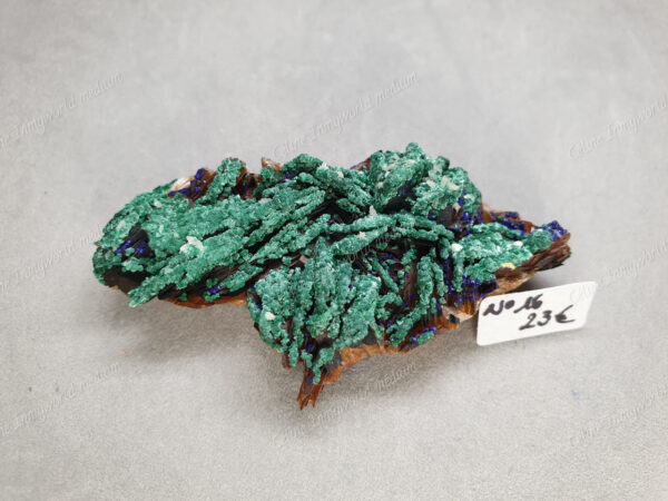 Druse d'Azurite-malachite et Baryte brune brutes modèle n°16