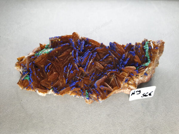 Druse d'Azurite-malachite et Baryte brune brutes modèle n°9