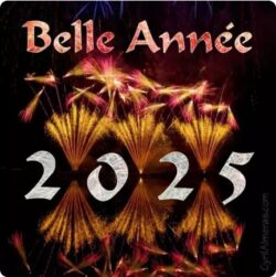 Meilleurs voeux 2025